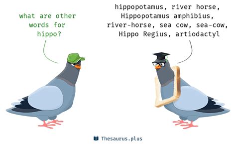 synonyms hippo|10 Hippo Synonyms. Similar words for Hippo. .